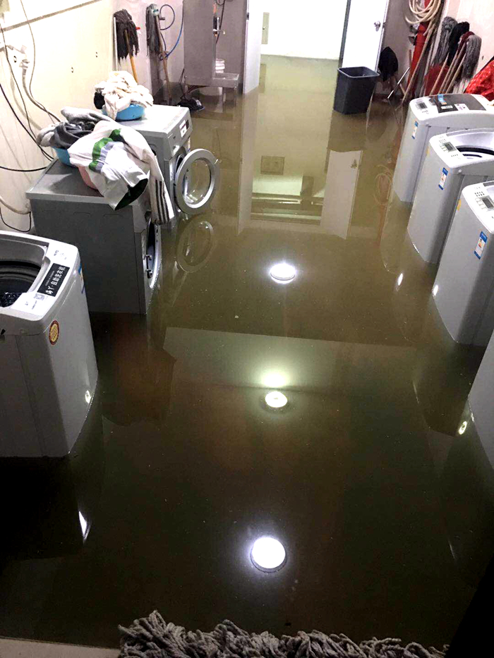 正文700-1.jpg